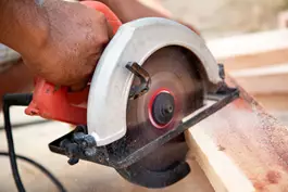 "דק אורן מתבטא בזה שהוא עץ רך ולכן נוח מאוד לעיבוד"